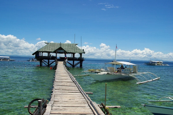 게시글 대표 이미지