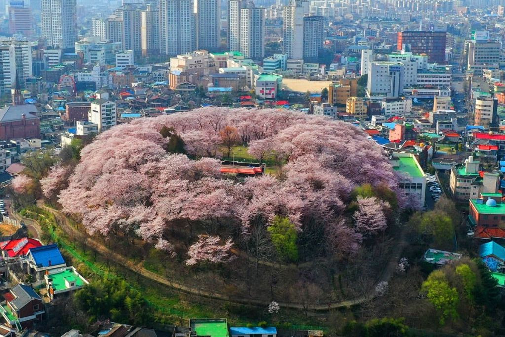 대표이미지