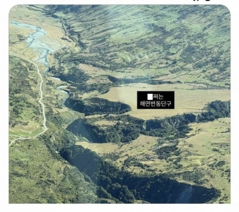 게시글 대표 이미지