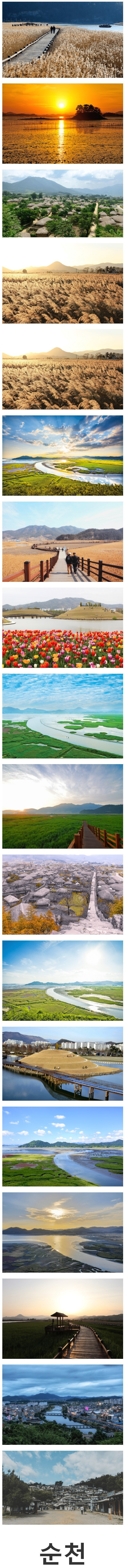 게시글 대표 이미지