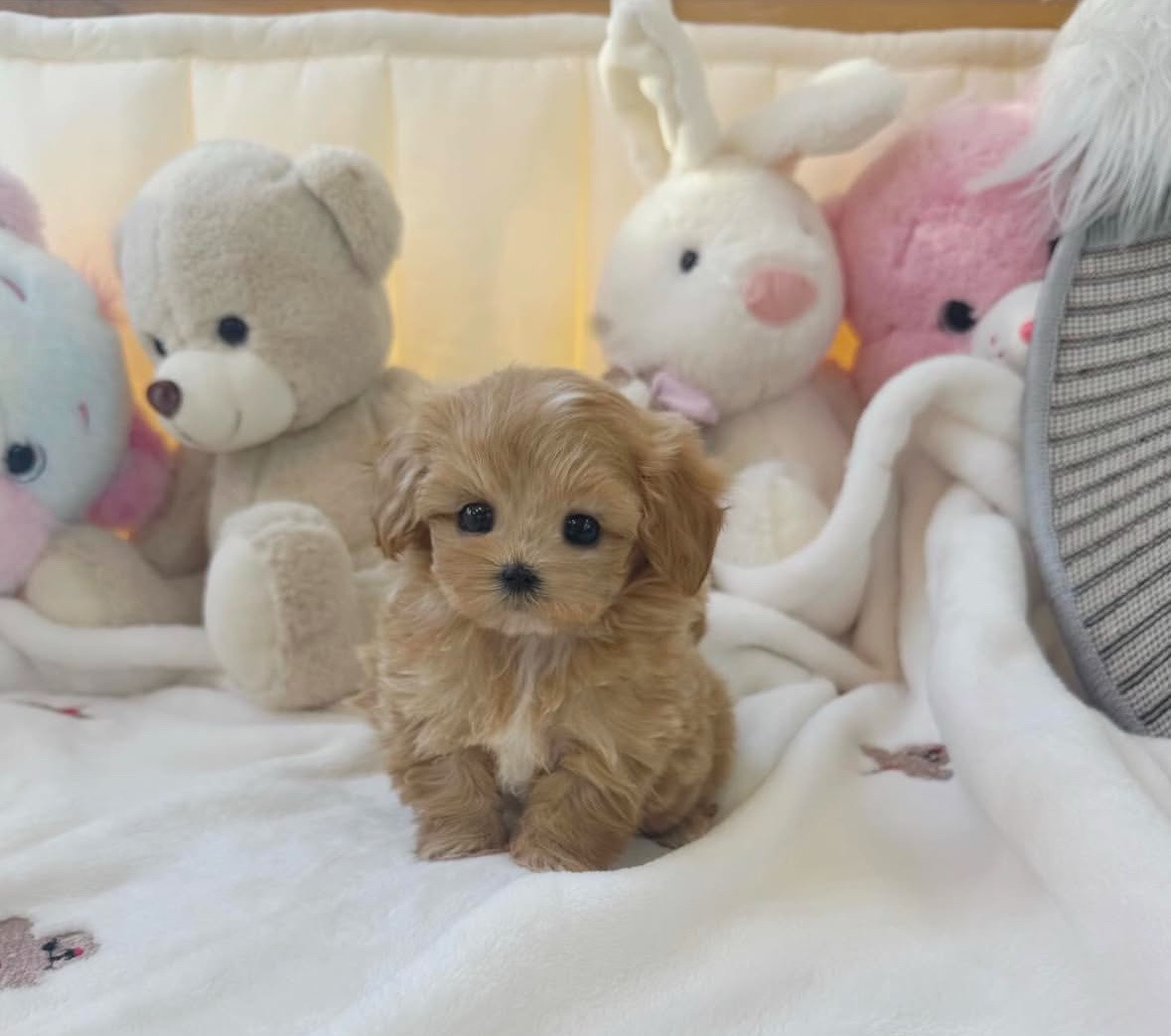 게시글 대표 이미지