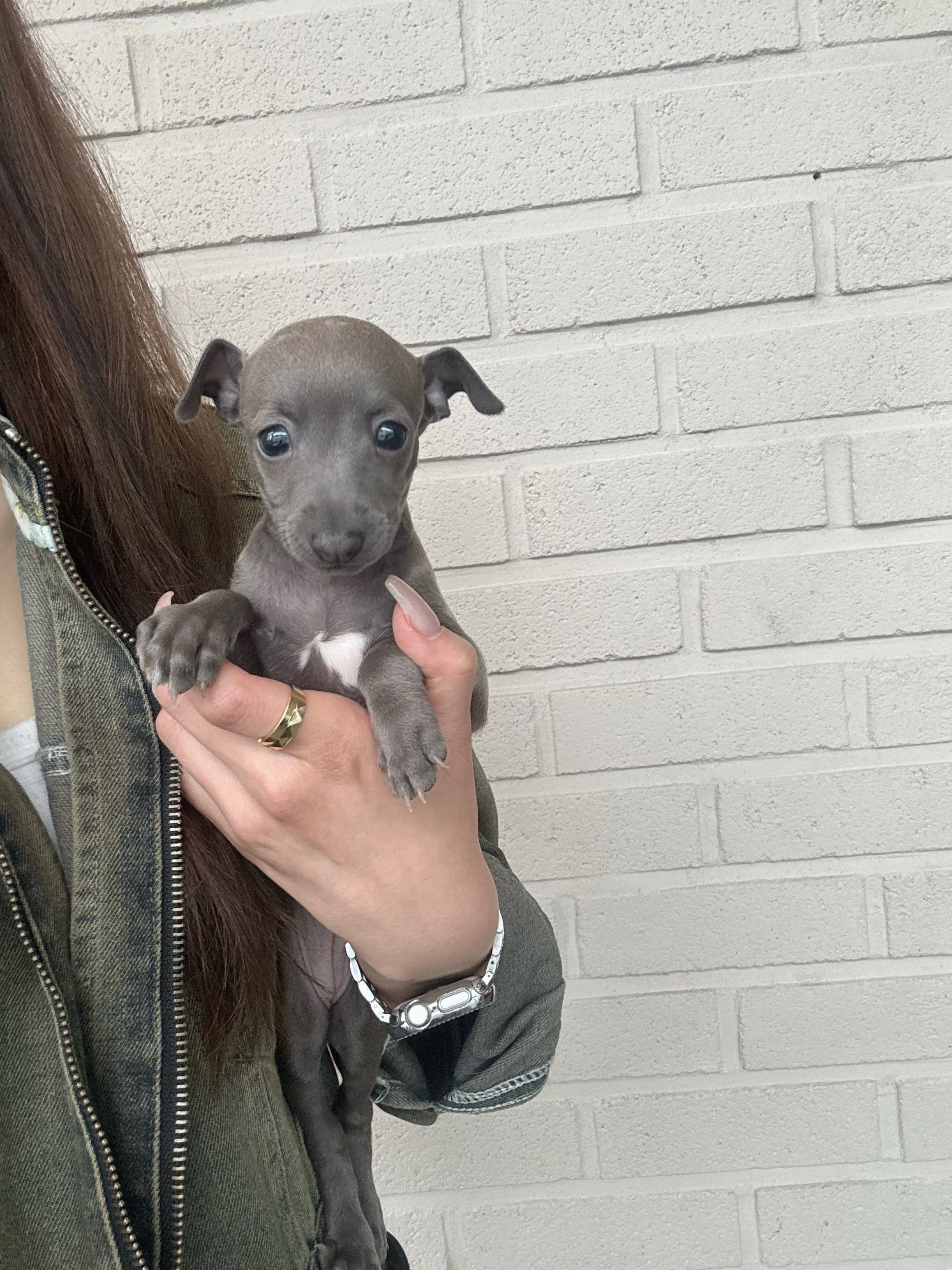 게시글 대표 이미지