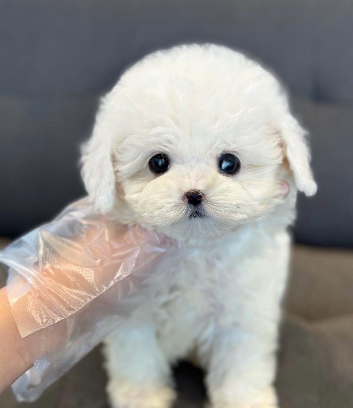 게시글 대표 이미지