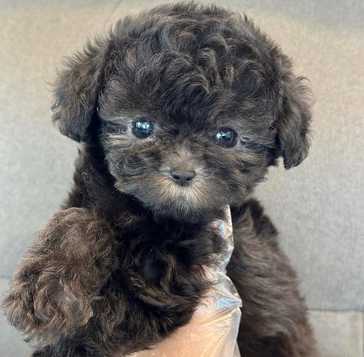 게시글 대표 이미지