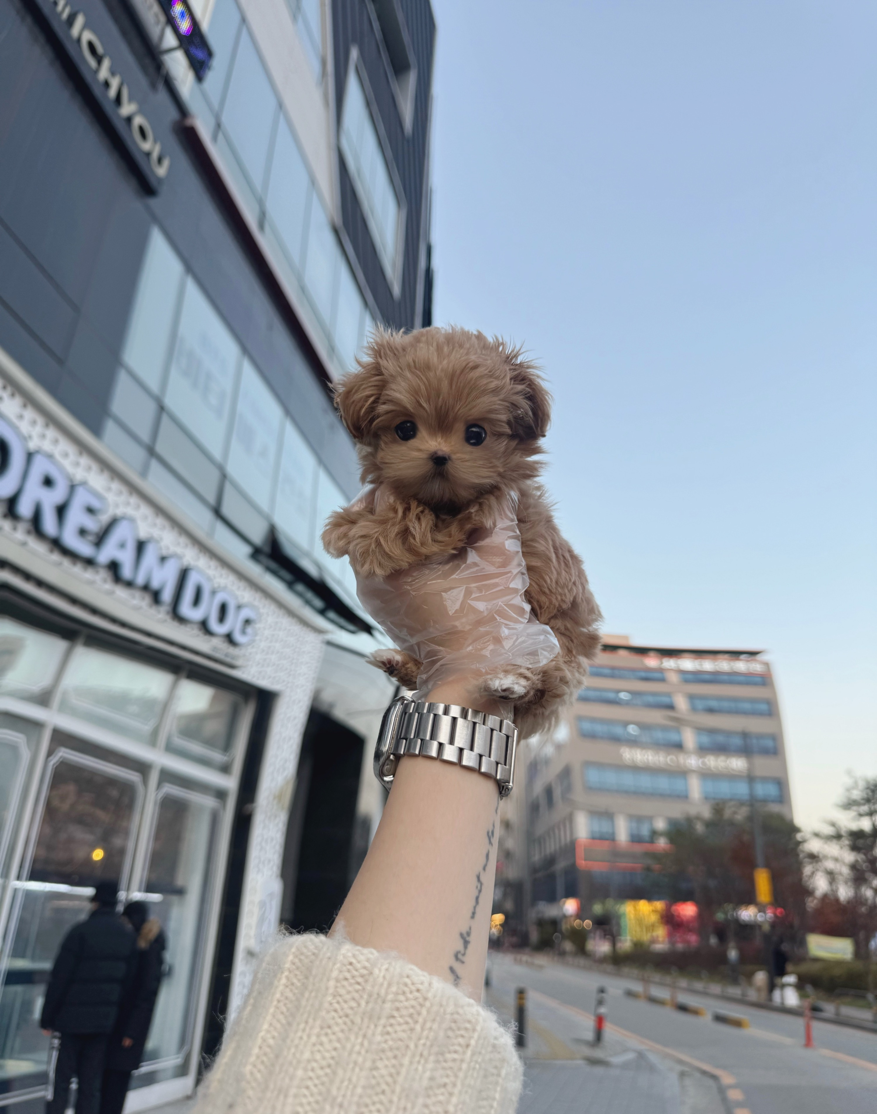 게시글 대표 이미지