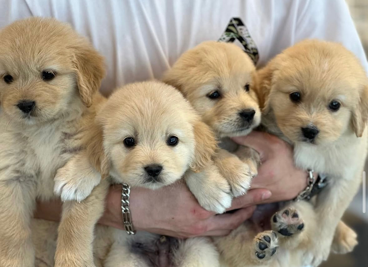 게시글 대표 이미지