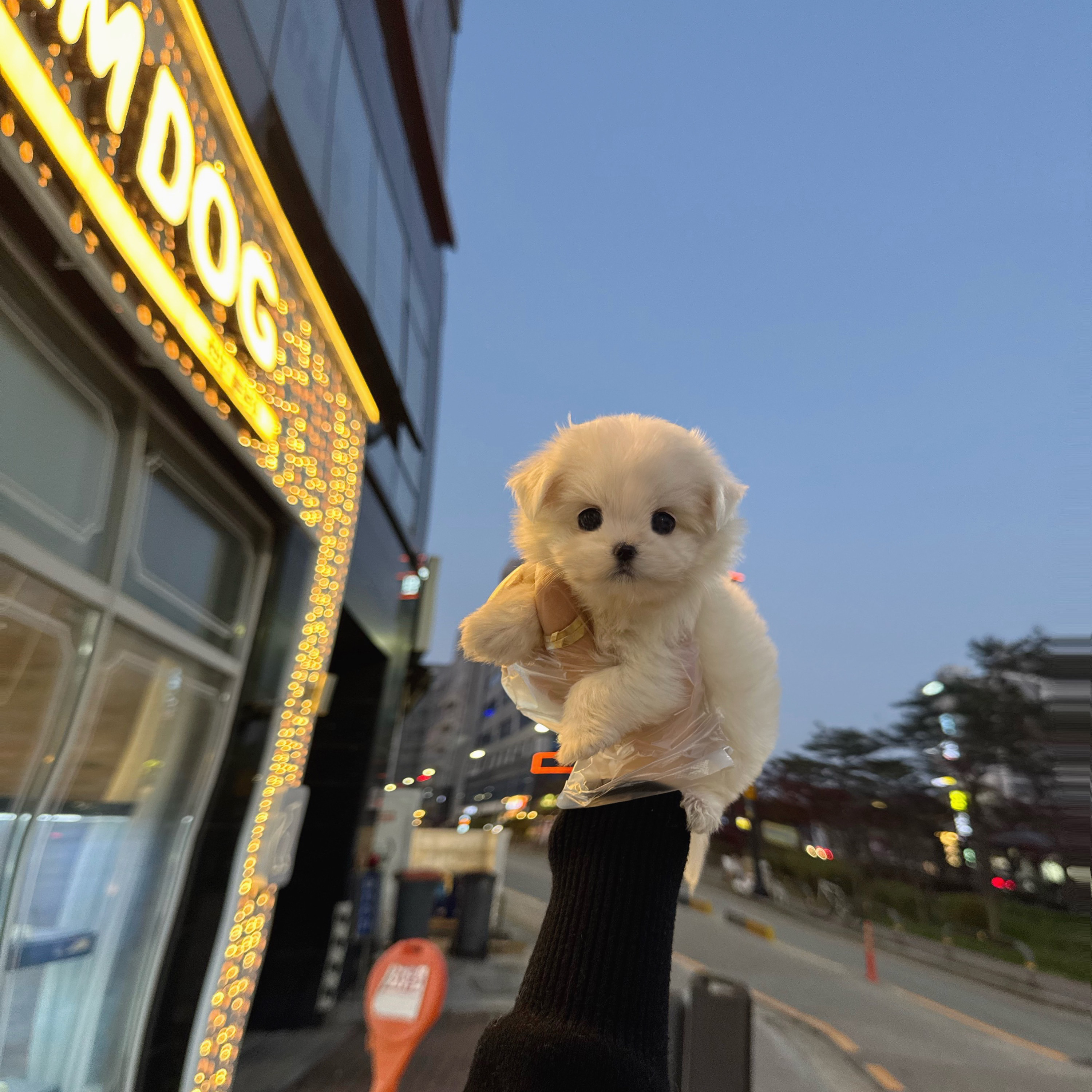 게시글 대표 이미지