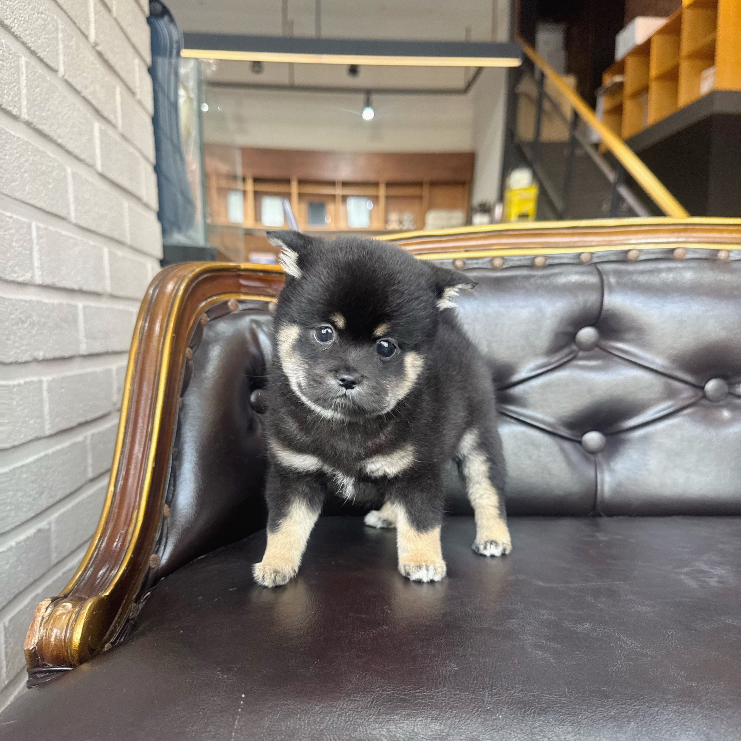 게시글 대표 이미지