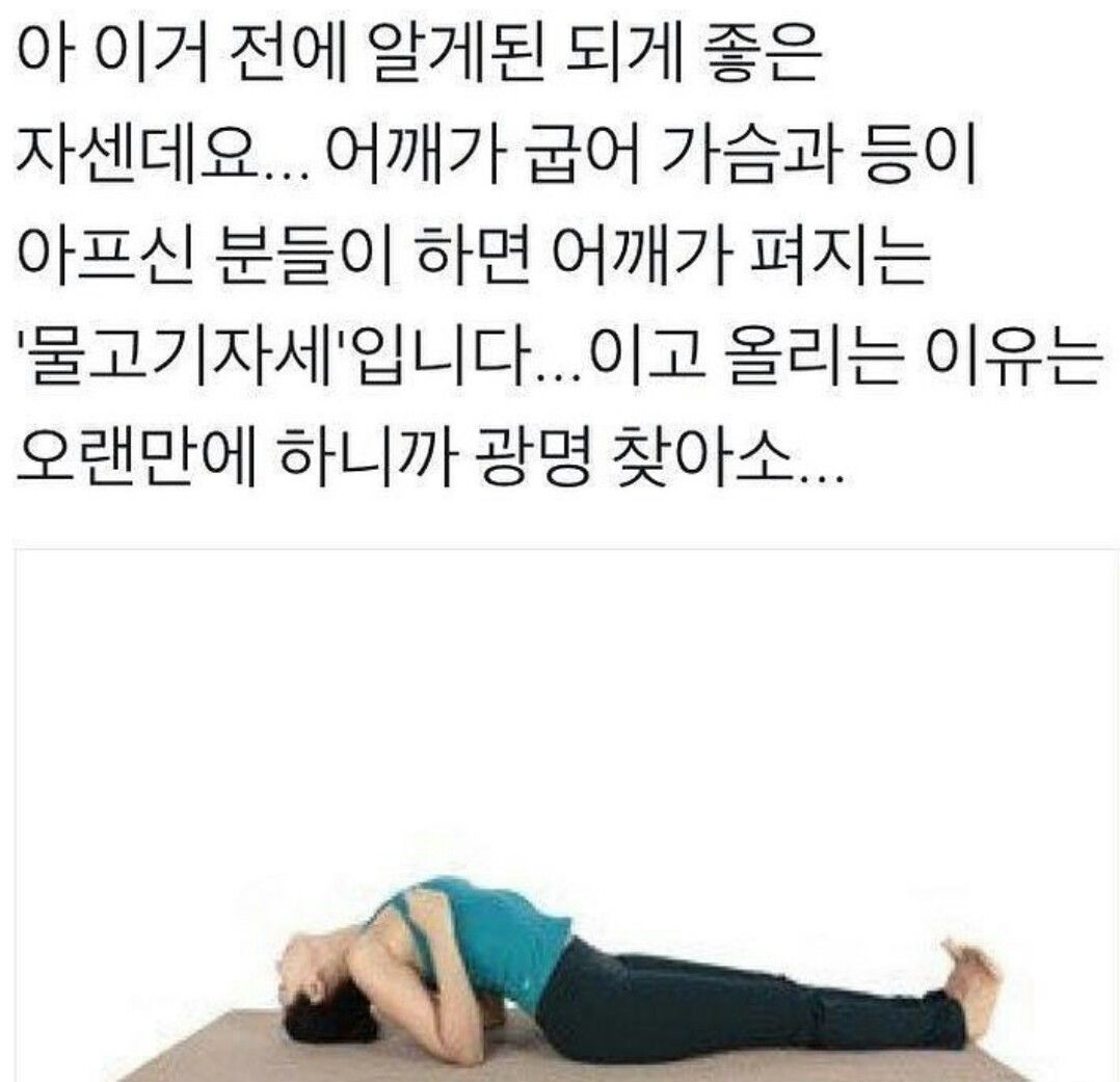게시글 대표 이미지