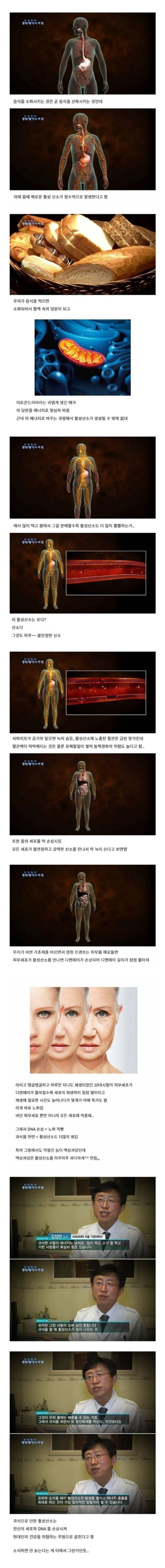 게시글 대표 이미지
