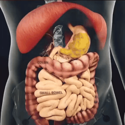 게시글 대표 이미지