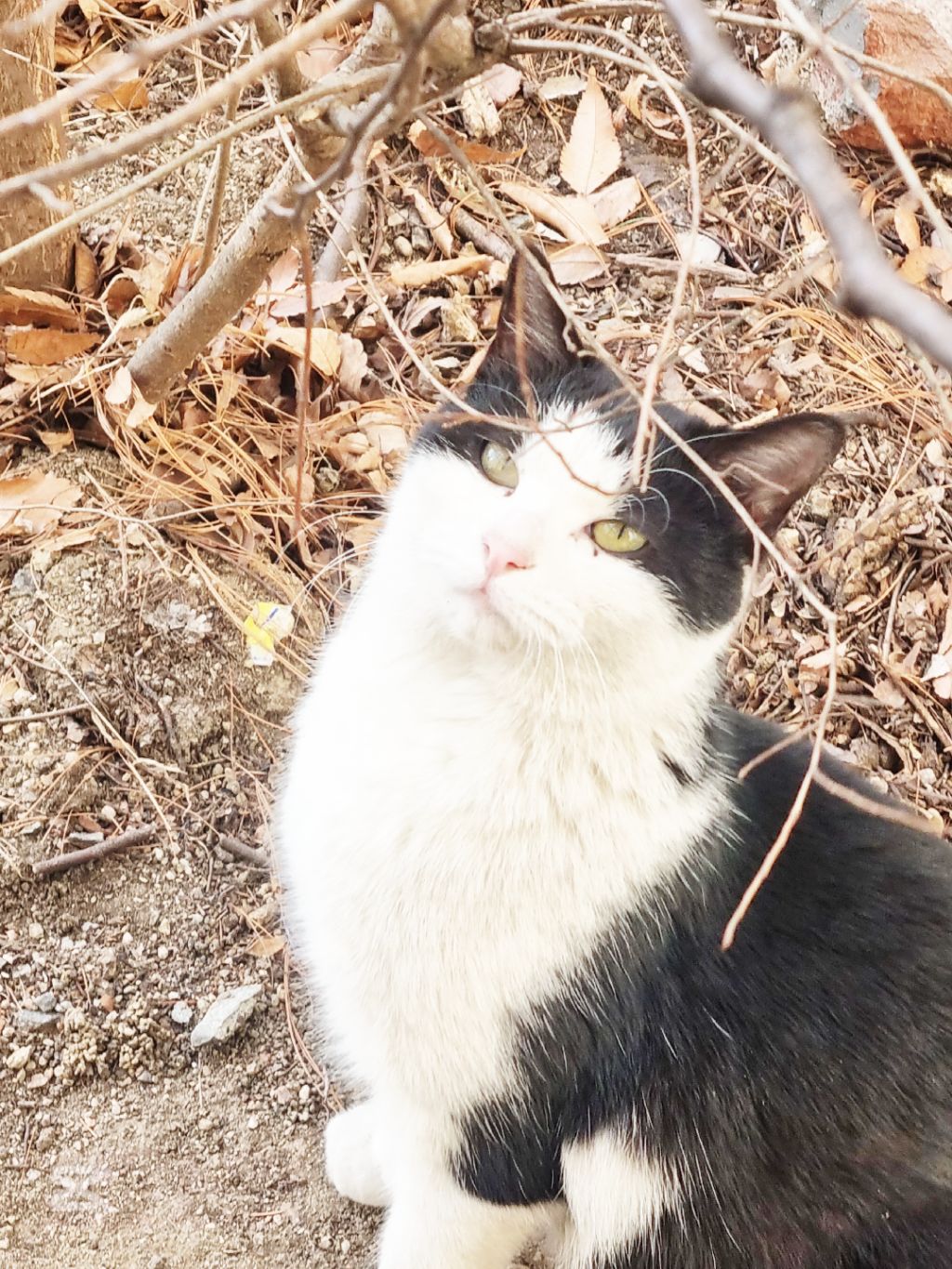 게시글 대표 이미지