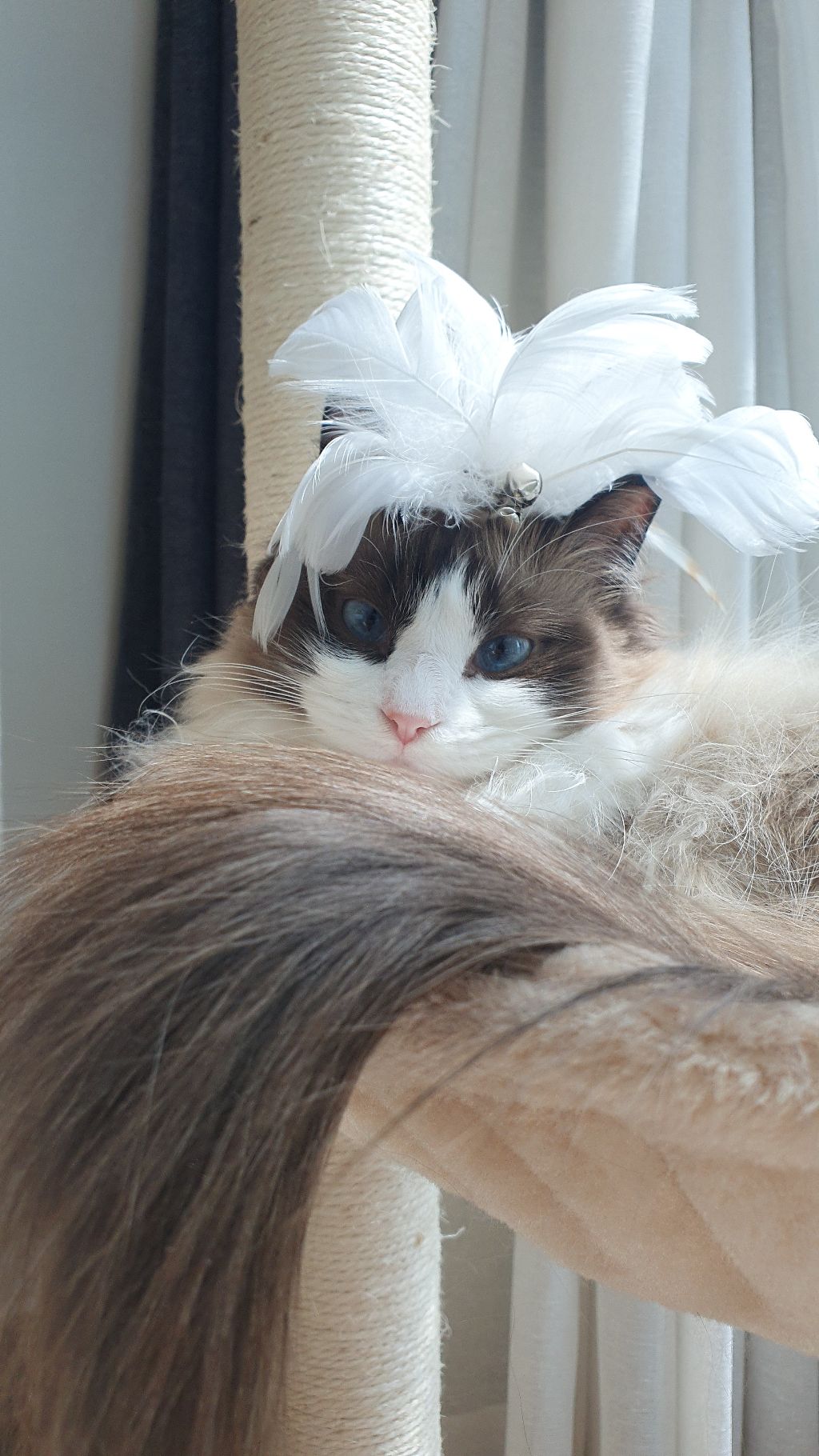 게시글 대표 이미지