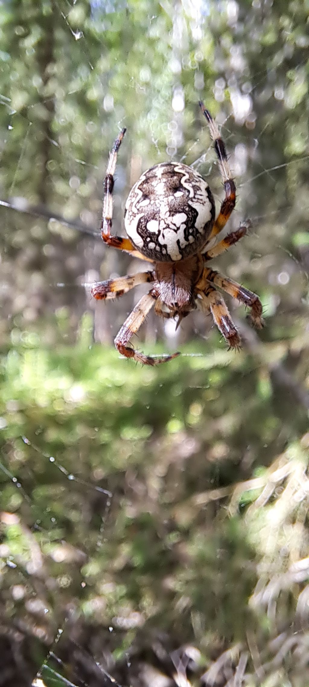 게시글 대표 이미지