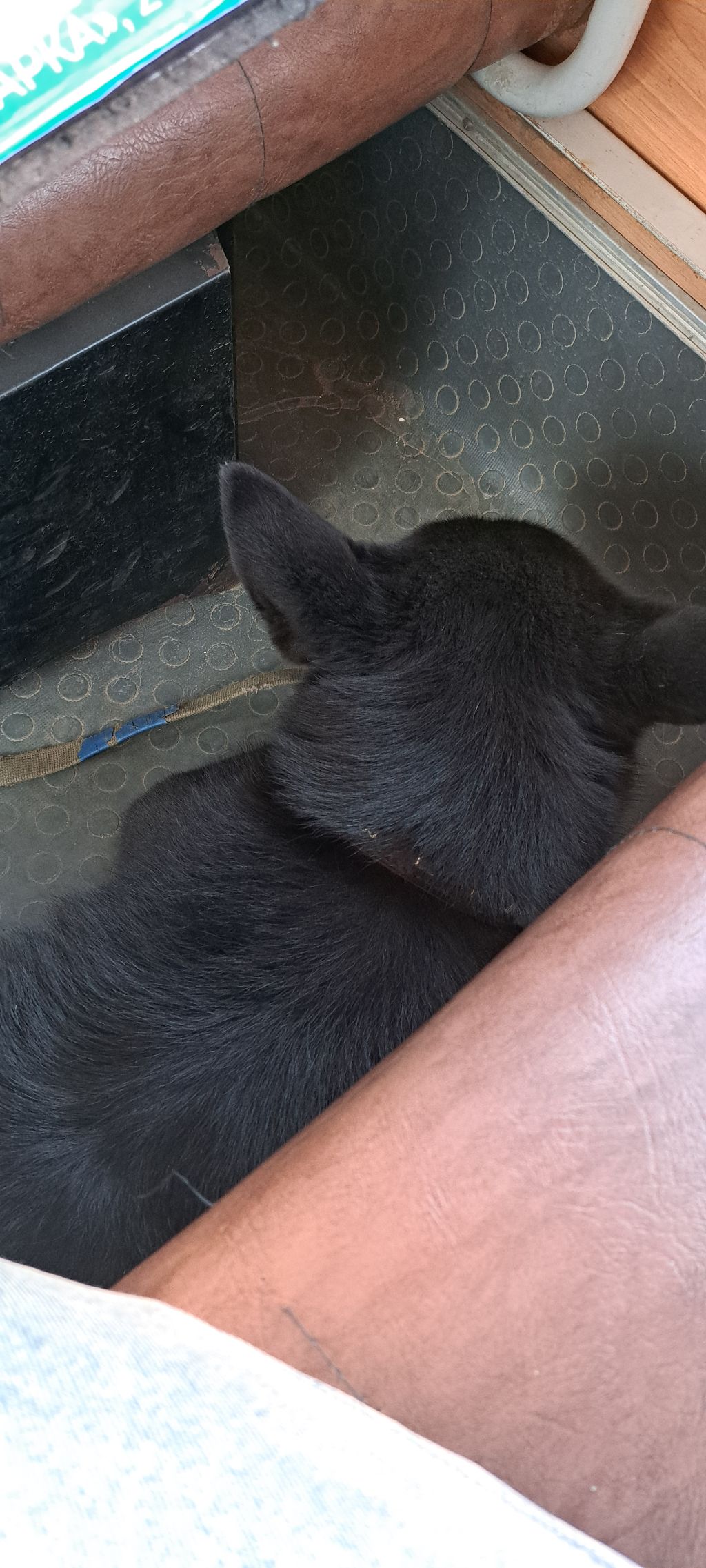 게시글 대표 이미지