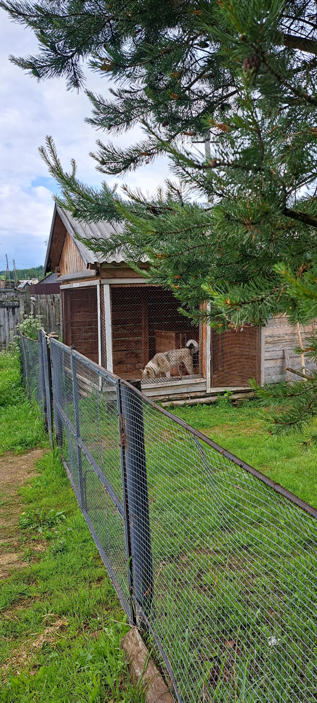 게시글 대표 이미지