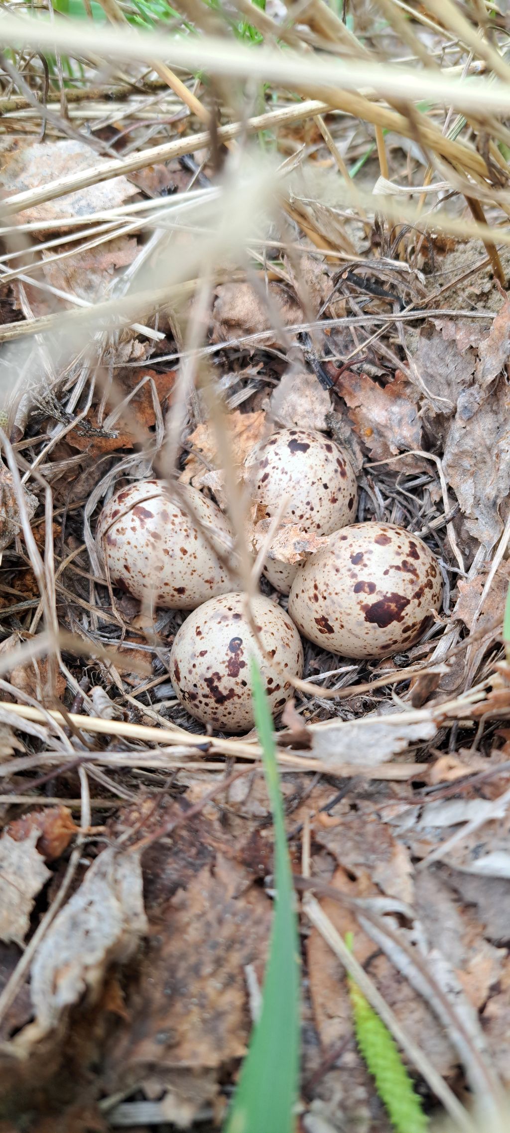 게시글 대표 이미지