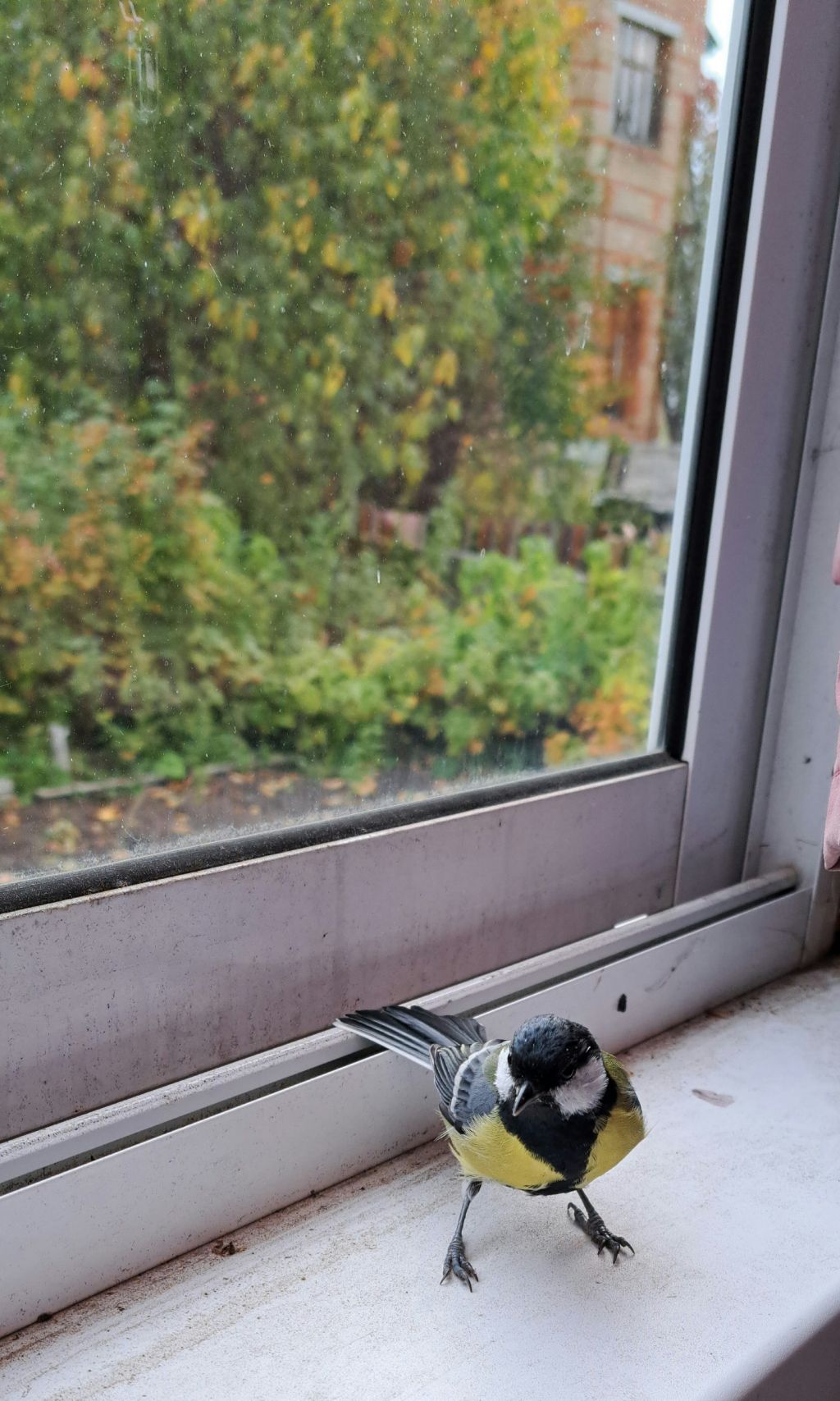 게시글 대표 이미지