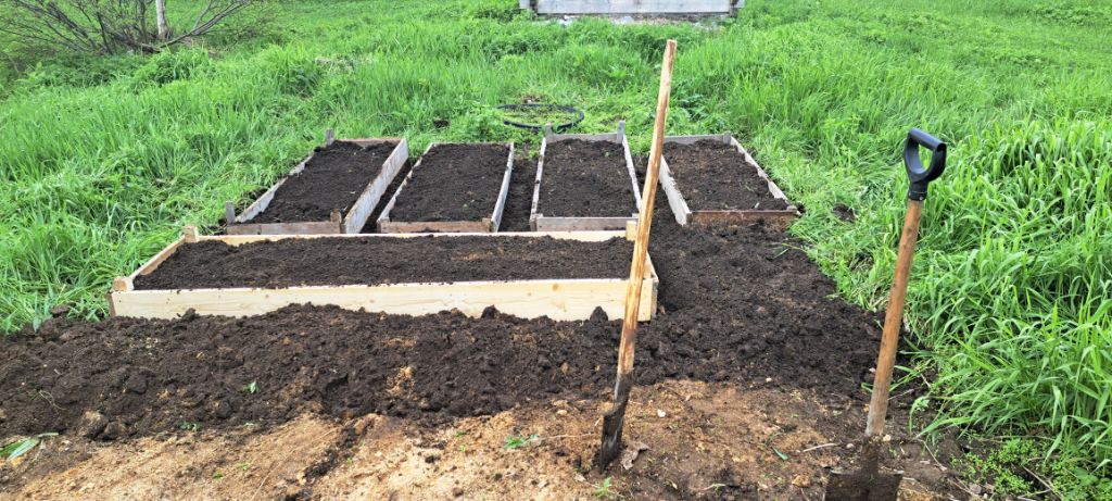 게시글 대표 이미지