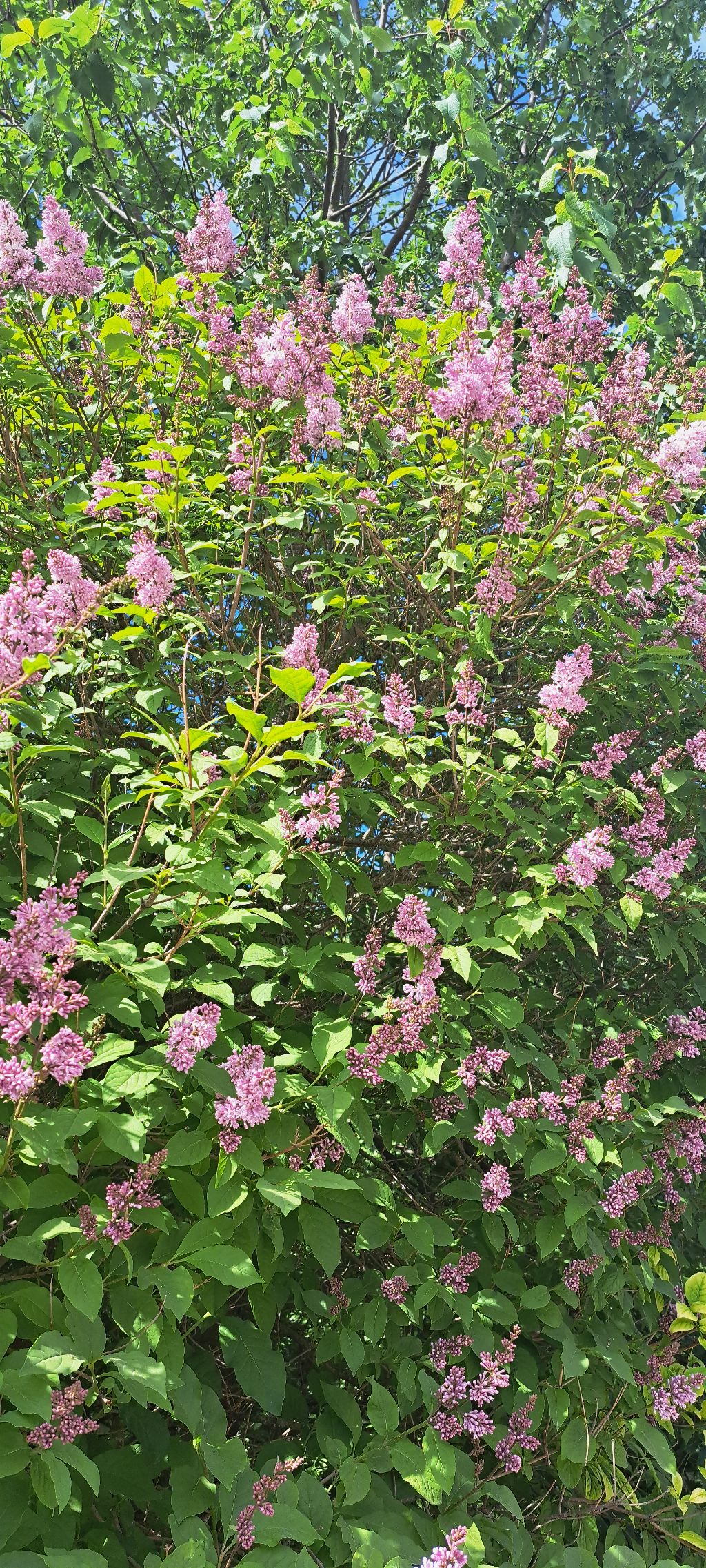 게시글 대표 이미지