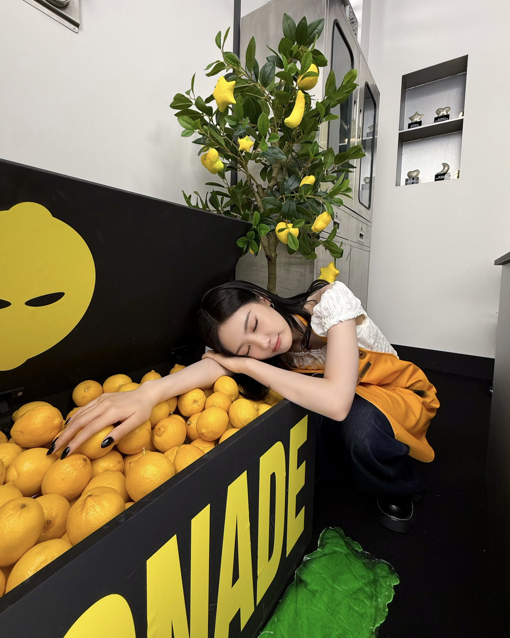 대표이미지