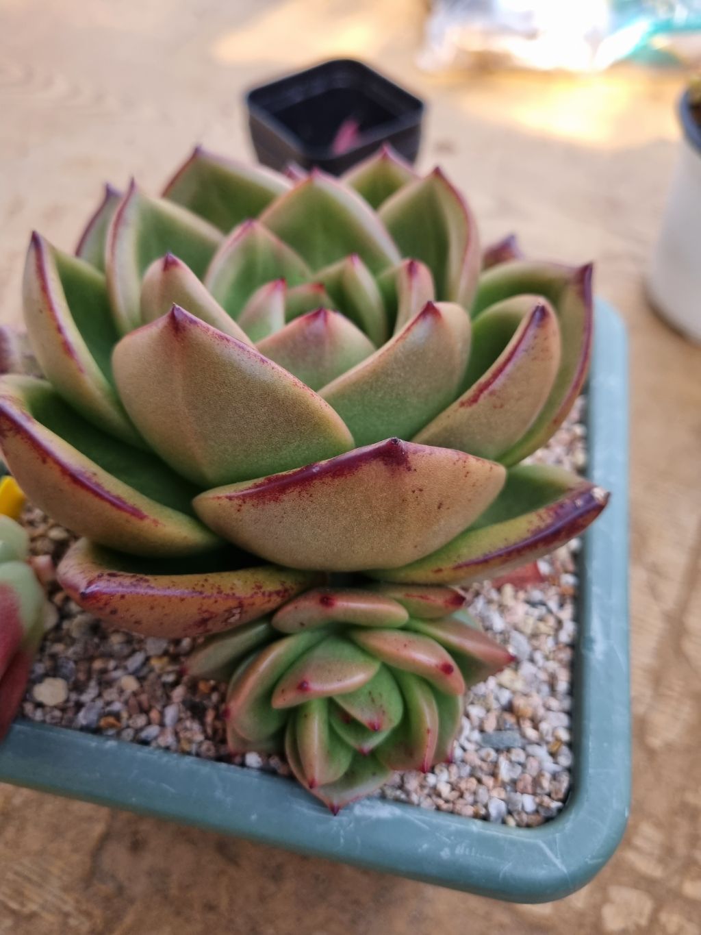 게시글 대표 이미지