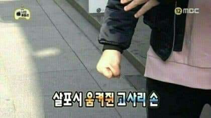 게시글 대표 이미지