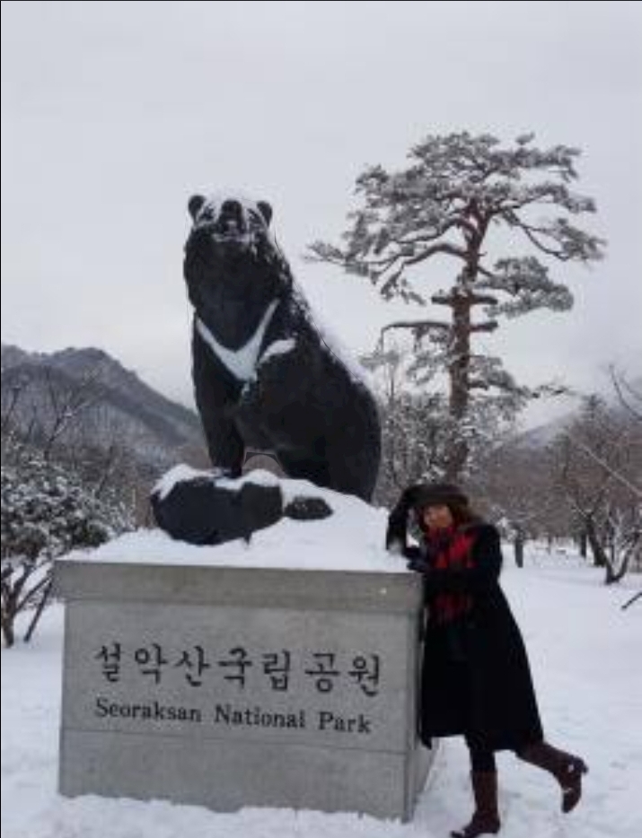 게시글 대표 이미지