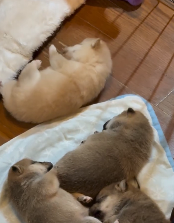 게시글 대표 이미지