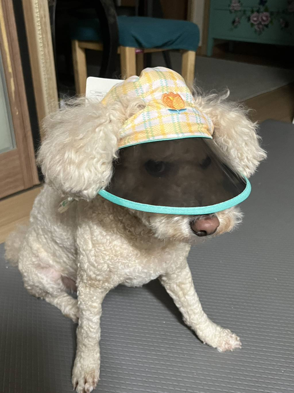 대표이미지