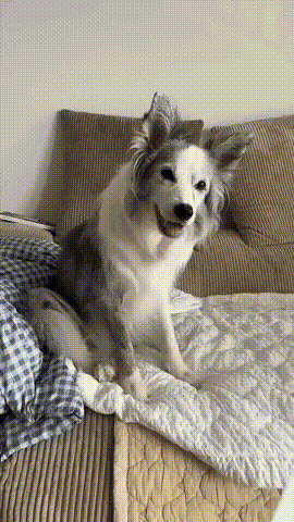 게시글 대표 이미지