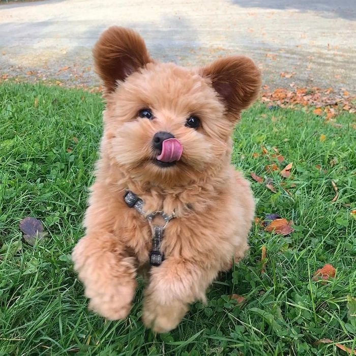 게시글 대표 이미지