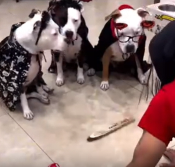 게시글 대표 이미지