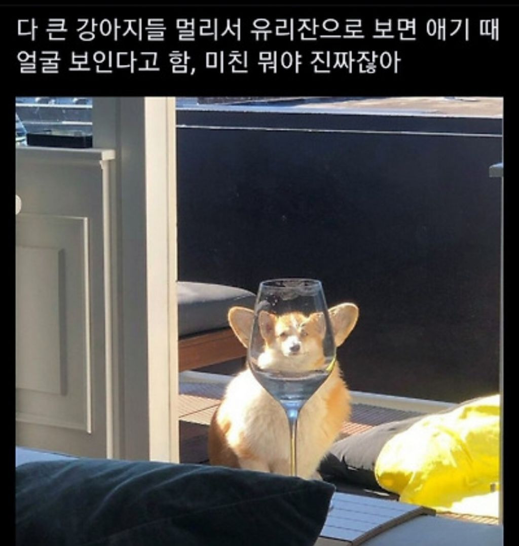 게시글 대표 이미지