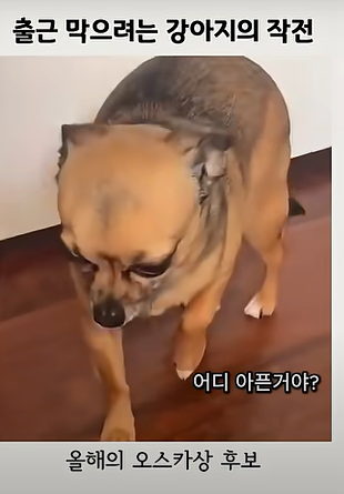 게시글 대표 이미지