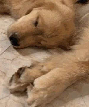 게시글 대표 이미지