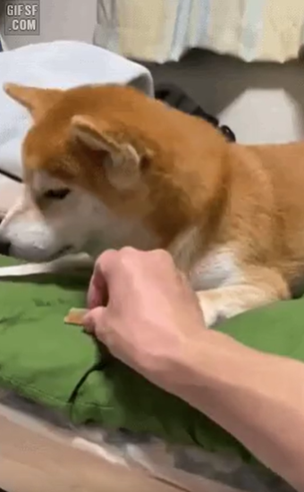 게시글 대표 이미지