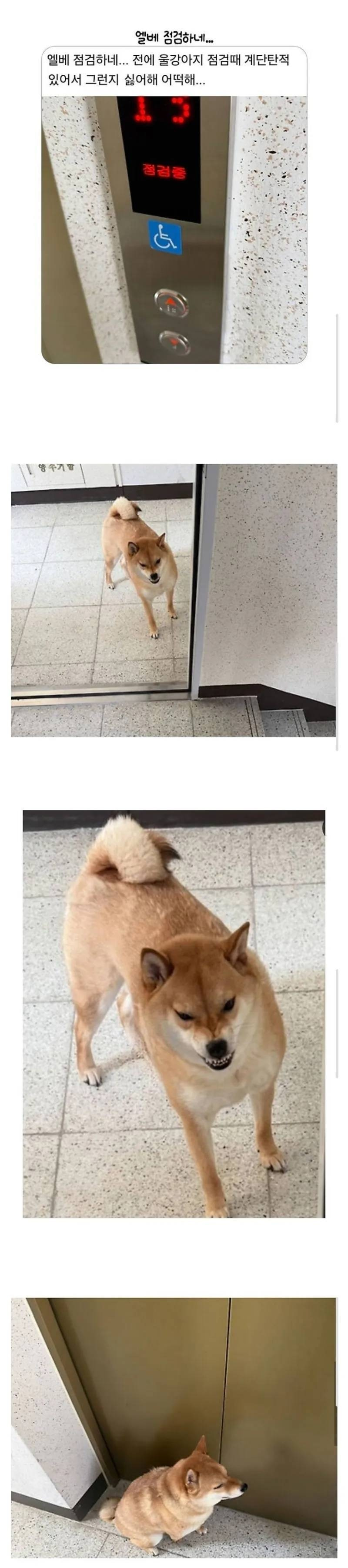 게시글 대표 이미지