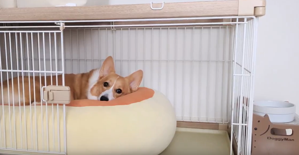 게시글 대표 이미지