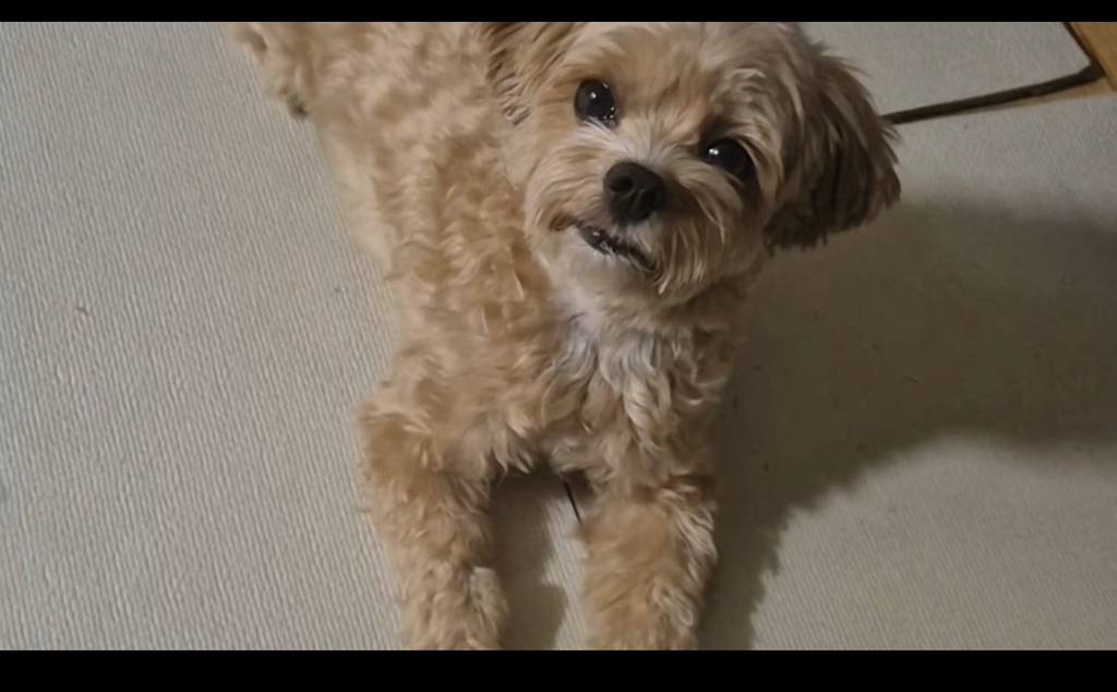 게시글 대표 이미지