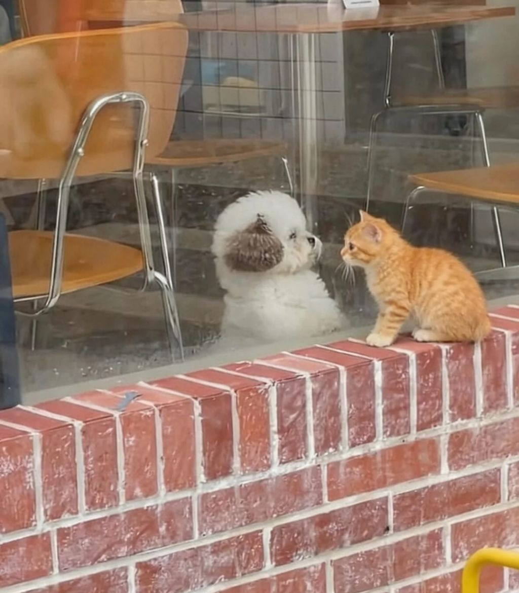 게시글 대표 이미지