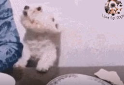 게시글 대표 이미지