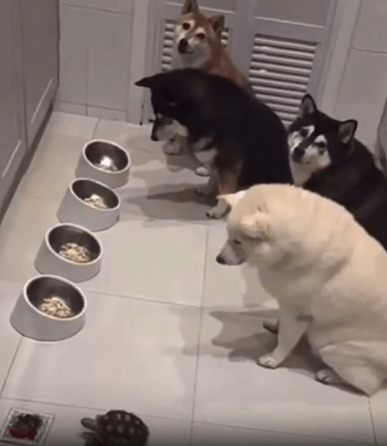 게시글 대표 이미지