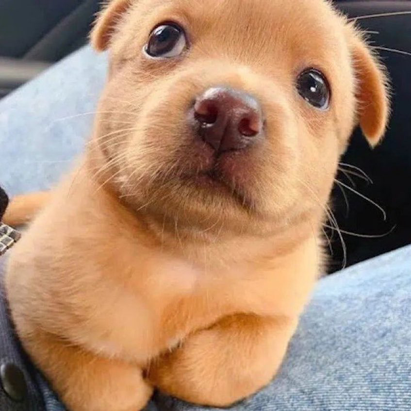 게시글 대표 이미지