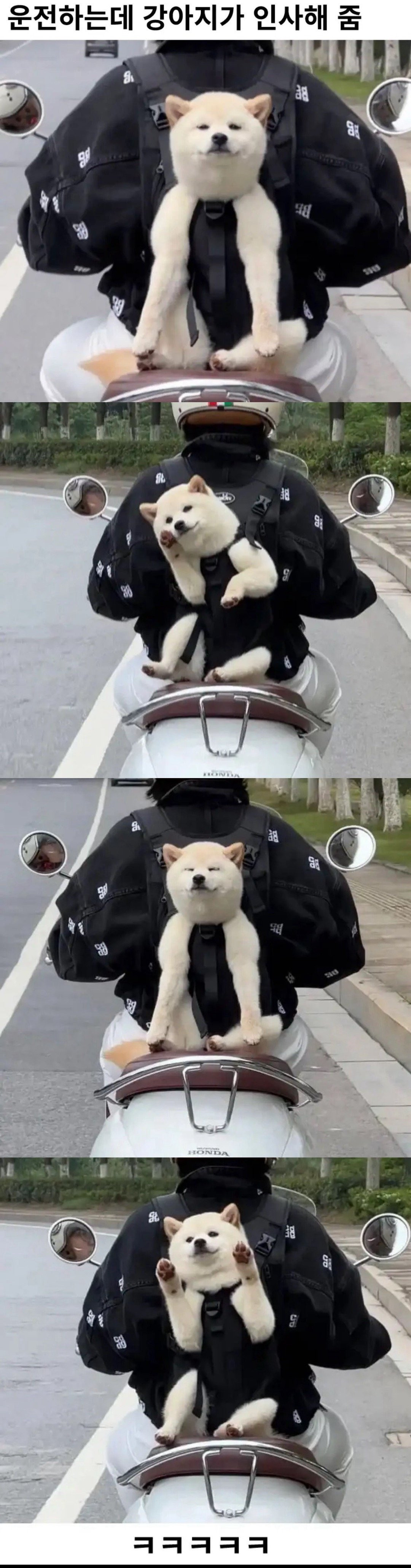 게시글 대표 이미지