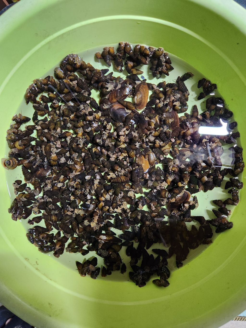 게시글 대표 이미지