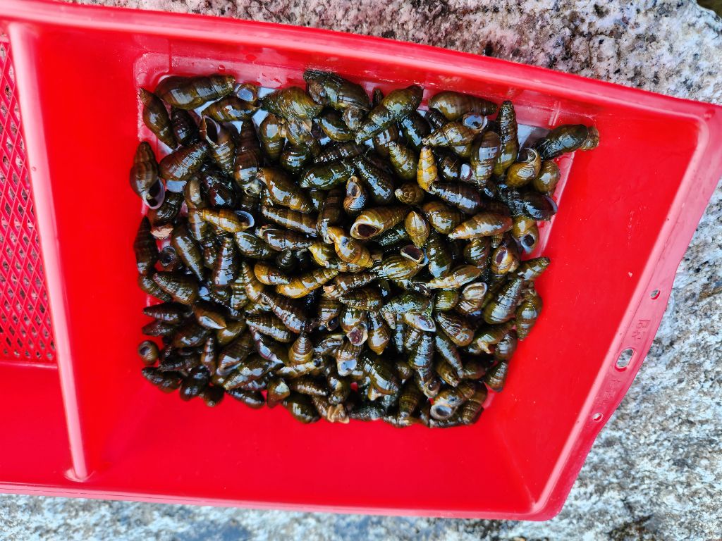 게시글 대표 이미지