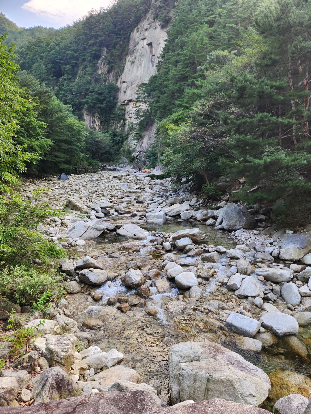 게시글 대표 이미지