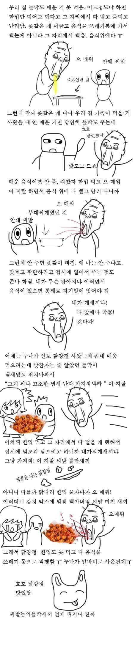 대표이미지