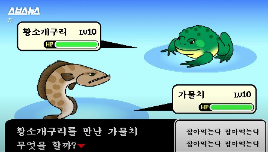 대표이미지